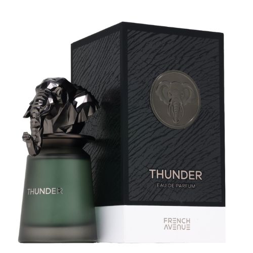 French Avenue Thunder EDP 100ML for Men
